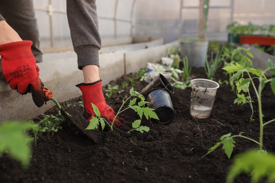 Klas koken & voeding bij Houtens planten van kruiden