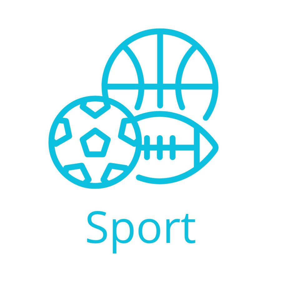 Icoon diverse ballen passend bij de Sport-route van praktijkonderwijs in de vmbo onderbouw op Houtens