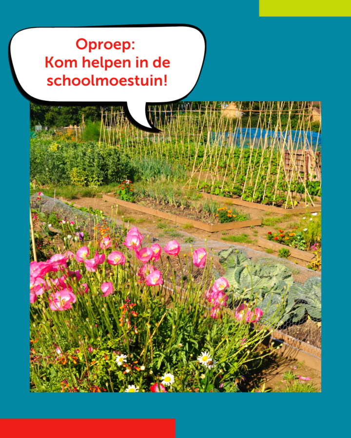 Oproep: Kom helpen in de schoolmoestuin Houtens