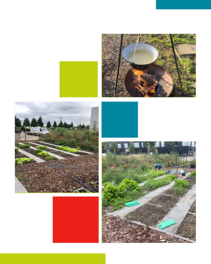 Moestuin Houtens